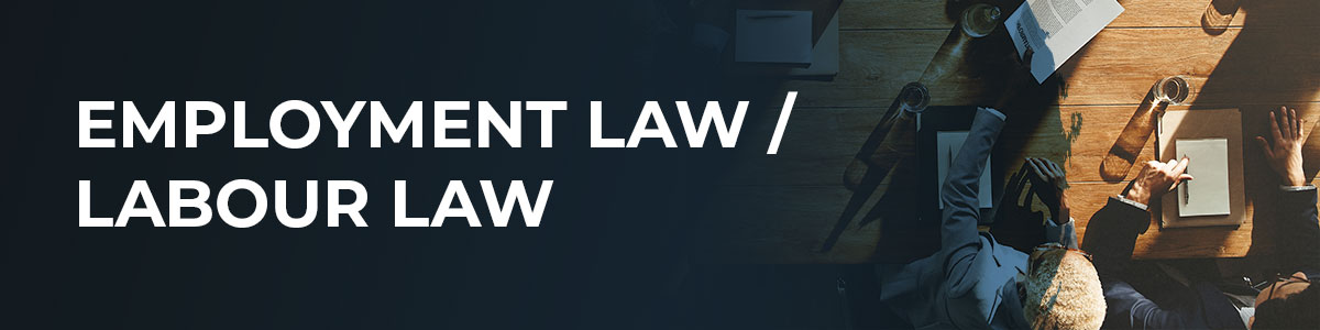 EMPLOYMENT-LAW---LABOUR-LAW